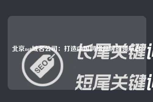 北京net域名公司：打造中国网络品牌的领航者
