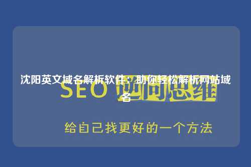 沈阳英文域名解析软件：助你轻松解析网站域名