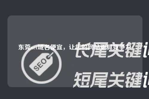 东莞net域名便宜，让您的网站更具竞争力