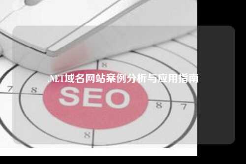 .NET域名网站案例分析与应用指南