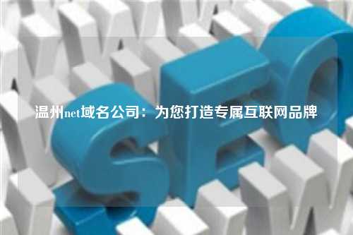 温州net域名公司：为您打造专属互联网品牌