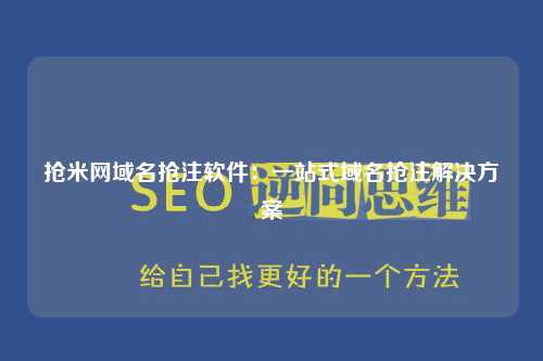 抢米网域名抢注软件：一站式域名抢注解决方案