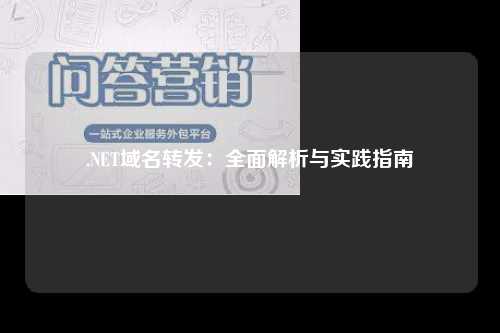 .NET域名转发：全面解析与实践指南