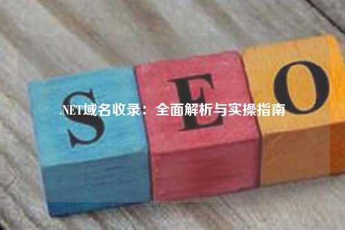 .NET域名收录：全面解析与实操指南